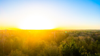 Fototapeta na wymiar This image captures the breathtaking moment of sunrise as it blankets a vast forest with its golden glow. The sun, just at the horizon, spills its bright light over the treeline, casting a vibrant