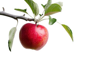 Apple on Tree on Transparent Background, PNG, Generative Ai