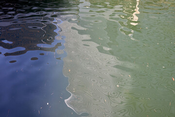 東京梅散歩　浜離宮～汐留～銀座