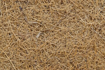 Coconut fiber solid background image. Material is used for many purposes including gardening and...