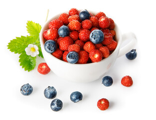 Fruits of wild strawberry berries. Edible in the forest. Natural