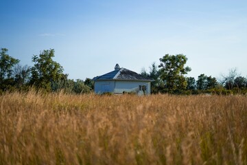 Rural white structure in the golden field.