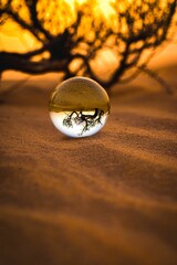 Glass ball resting on sands in a natural environment, with blurred trees in background