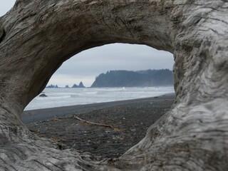 Stunning seaside landscape viewed through a rustic driftwood window frame in Washington State