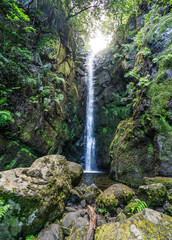 Jungle waterfall in Madeira Portugal.
