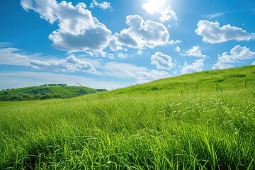 Obraz premium Landscape of green grass on slope with blue sky
