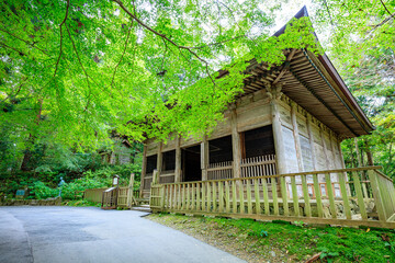 Fototapeta premium 初秋の中尊寺 旧覆堂 岩手県平泉町 Chusonji Temple in early autumn. Iwate Pref, Hiraizumi town.