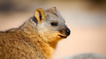 AI-generated illustration of a rock hyrax.