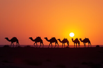 Fototapeta na wymiar Silhouettes of camels in the Sahara desert at sunset, Morocco