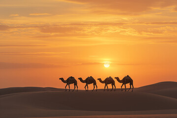 Fototapeta na wymiar Silhouettes of camels in the Sahara desert at sunset, Morocco
