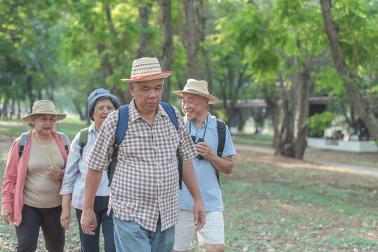 Tour guides take tourists on a walking tour of the forest park. Inside a national park in Thailand The idea of traveling in retirement