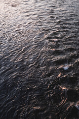 River water ripples abstract textured vertical background