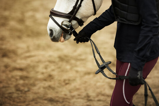 Mid section of horse river holding reins