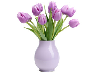 Beauty of a Lavender Tulip in a Vase Isolated On Transparent Background