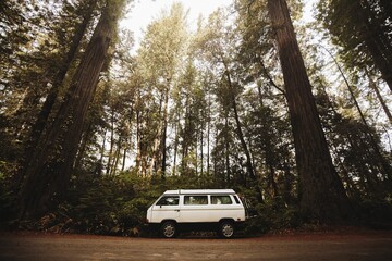 Fototapeta premium White off-road van parked in a forest clearing, illuminated by warm natural light