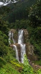 Fototapeta premium the green leaves on the trees cover the mountain side near a waterfall