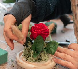 Hands of a young woman working in a flower shop, arranging a preserved rose.