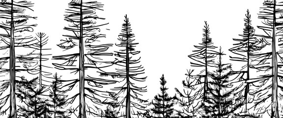 Vector sketch, banner. Forest, imitation of a pencil drawing.