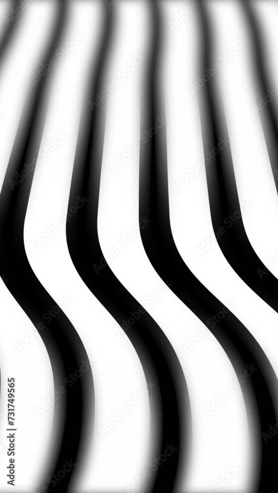 Wall mural black white lines waving like soft cloth. smooth waving abstract lines motion graphics background