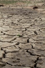 View of a dry and cracked land