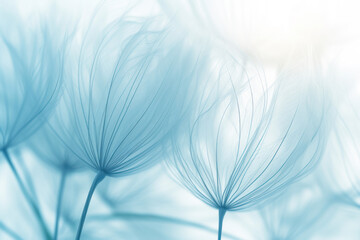 Blue abstract dandelion flower background, extreme closeup.