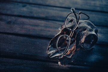 Brand glasses placed on a skull