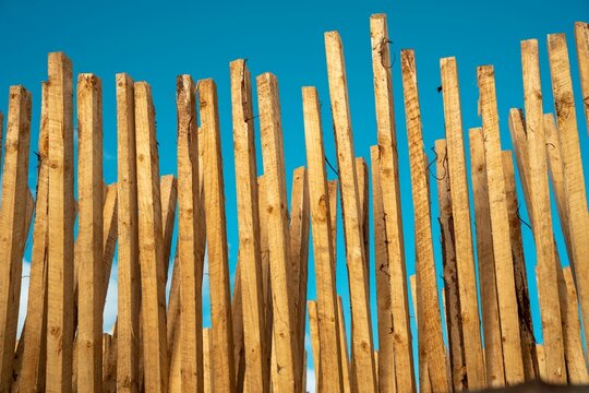 The piles of wood are placed to dry in Iringa region before ship