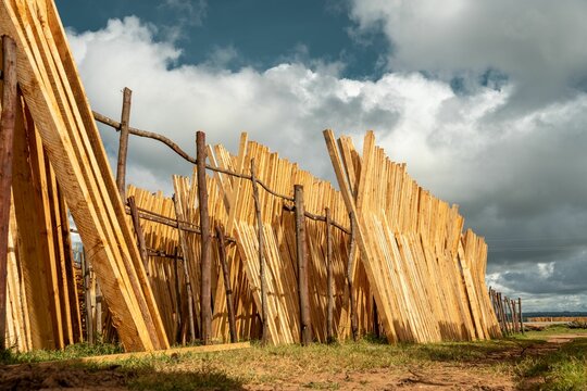 The piles of wood are placed to dry in Iringa region