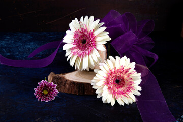 pink gerber flowers - obrazy, fototapety, plakaty
