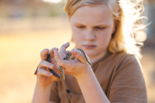 Pre-teen adolescent boy holding pet children's python snake