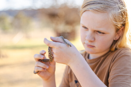Pre-teen adolescent boy holding pet children's python snake