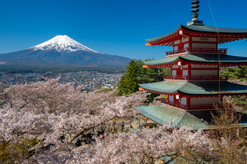 Fototapeta premium The Chureito Pagoda during spring season , part of the Arakura Sengen Shrine in Fujiyoshida ,Yamanashi Prefecture, Japan