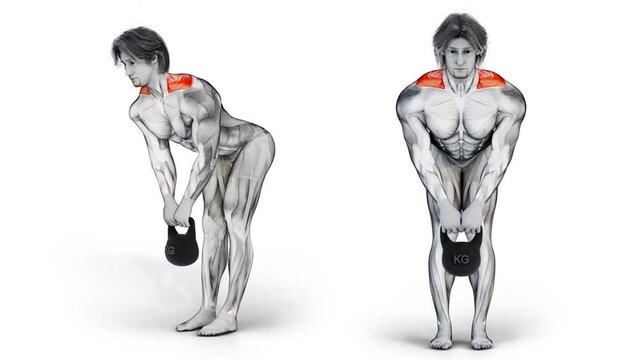 3d illustration design of two angles for muscular character doing Kettlebell trap muscle exercise