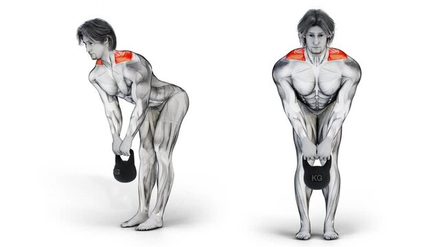 3d illustration of two different angles for Kettlebell trap muscle exercise for gym beginners