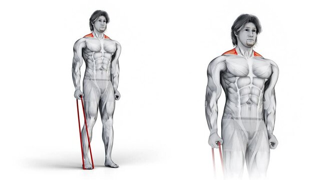 3d illustration design of muscular character exercises pull up cable for shoulders muscles