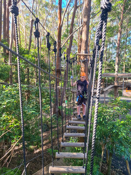 Kids taking part in a treetop climbing adventure challenge