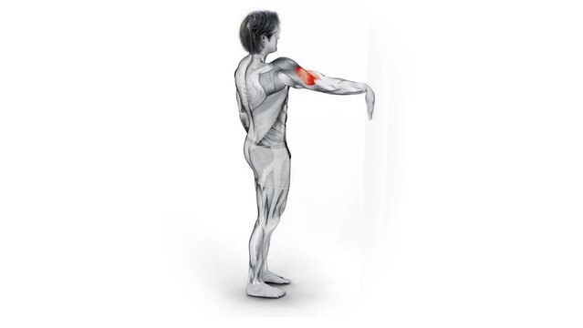 3d illustration of muscular man doing an exercise for arm muscles by pushing against wall