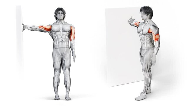 3d illustration of muscular man from different angles showing an exercise technique