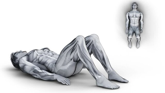 3d illustration of muscular character doing fitness exercises from two angles on isolated background