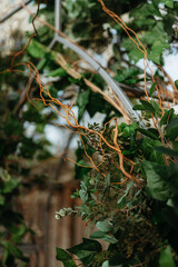 wedding ceremony area