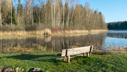 sunny spring landscape with calm lake, first green of spring in trees and grass