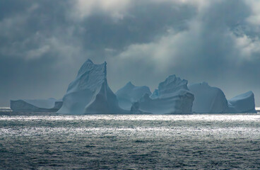 Elephant Island, Antarctica