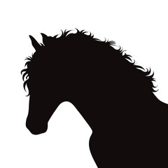 Vector silhouette of horse on white background. Symbol of stallion and horse riding.