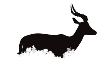 Silhouette of antelope on white background. Symbol of wild animal and nature.