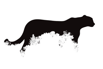 Cheetah silhouette on a white background. Symbol of wild animals and nature.