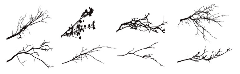 Set of silhouettes of branches on a white background. Symbol of nature and plants.