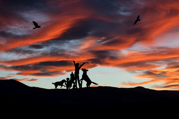 Silhouette of a boy playing with dogs in the landscape at sunset. Nature and lifestyle.