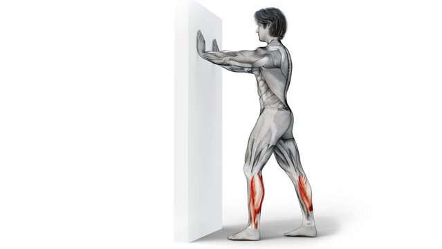 3d render of muscular male character training Calves Stretch workout
