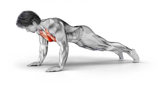 Muscular man character training Chest-Bodyweight-Push Up workout - 3d render