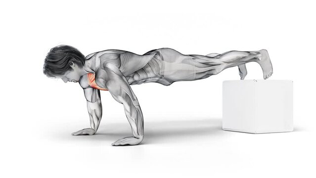 3d render of muscular male character training Chest Bodyweight Push Up and highlighting the effect